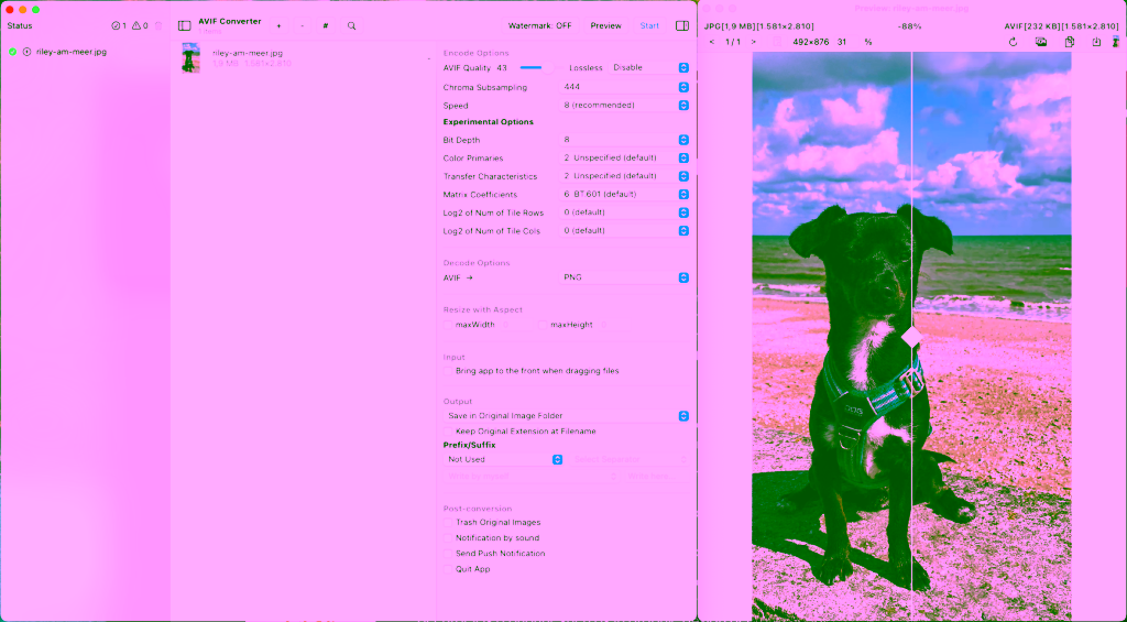 Bild: Avif Converter App